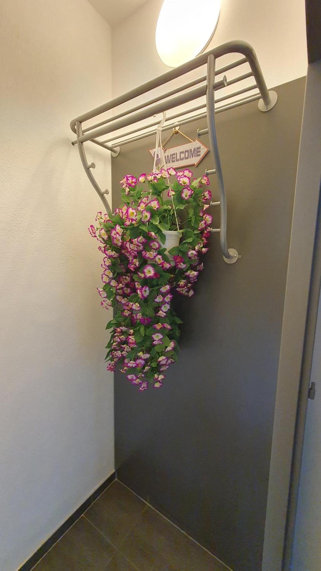 Lilly Home 36 兹诺伊莫 外观 照片